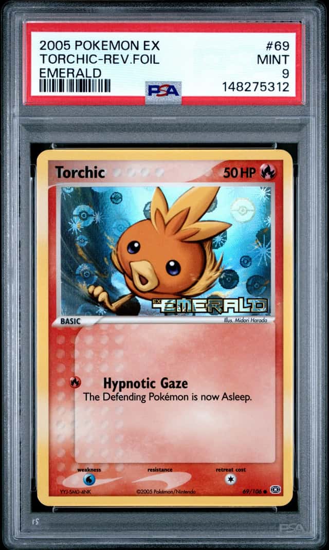Torchic