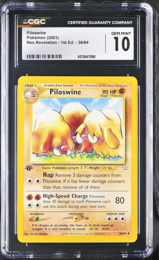 Piloswine