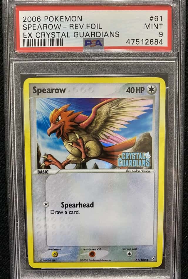 Spearow