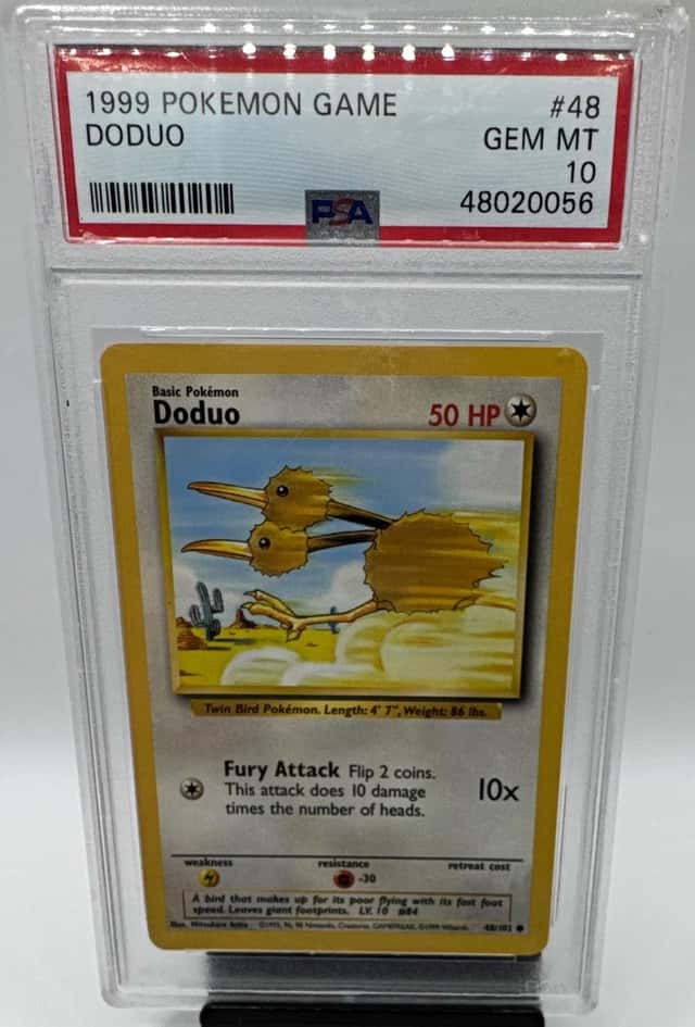 Doduo