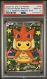 Poncho-Wearing Pikachu