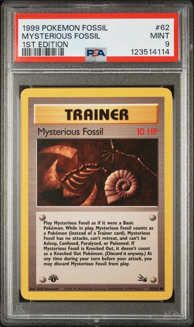 Mysterious Fossil