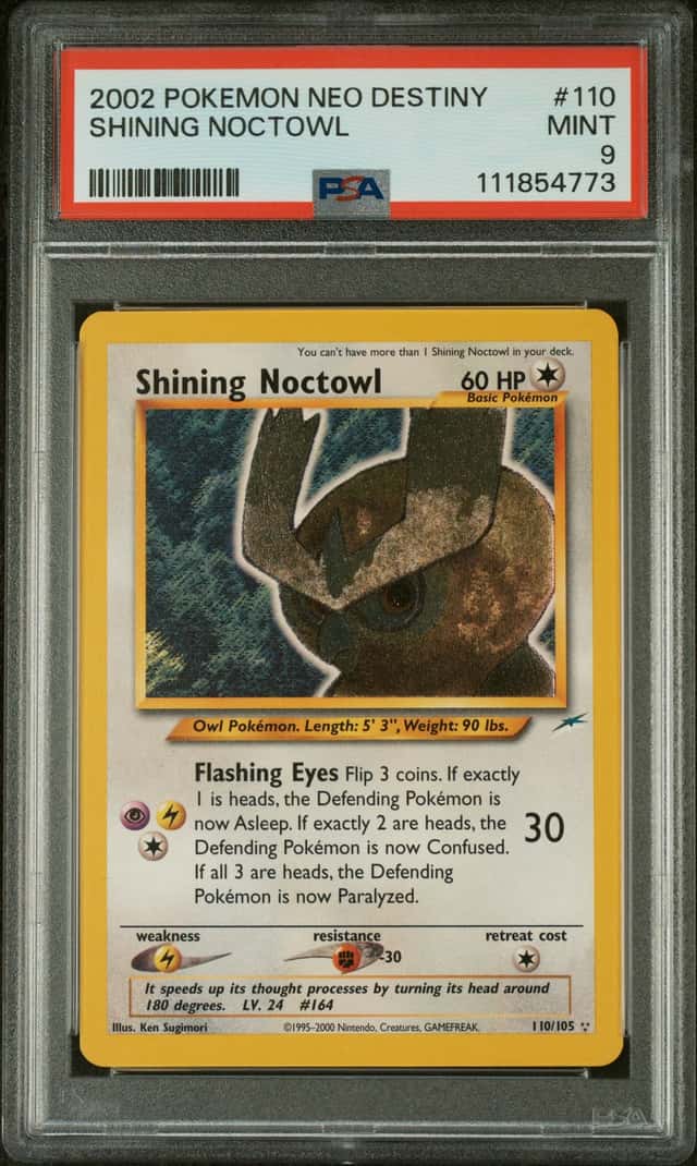 Shining Noctowl