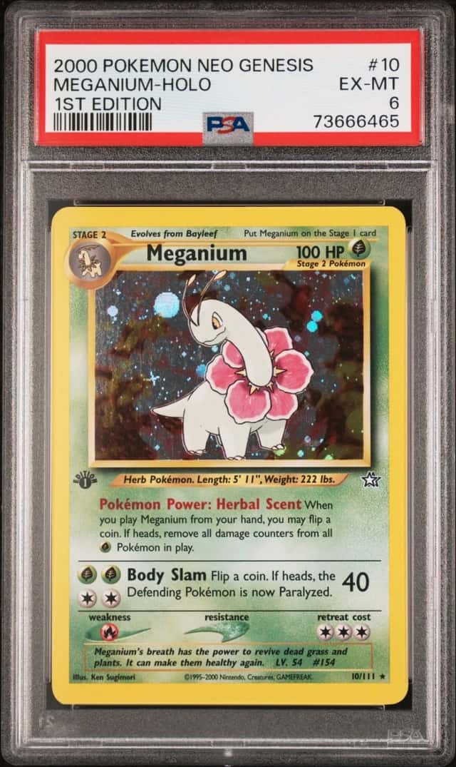 Meganium