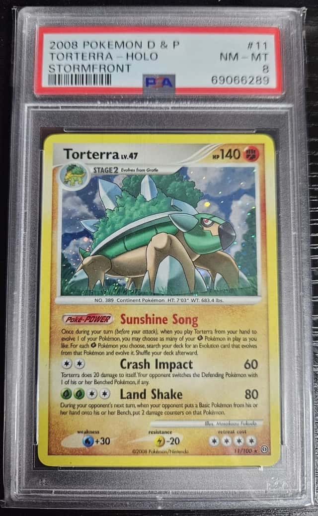 Torterra