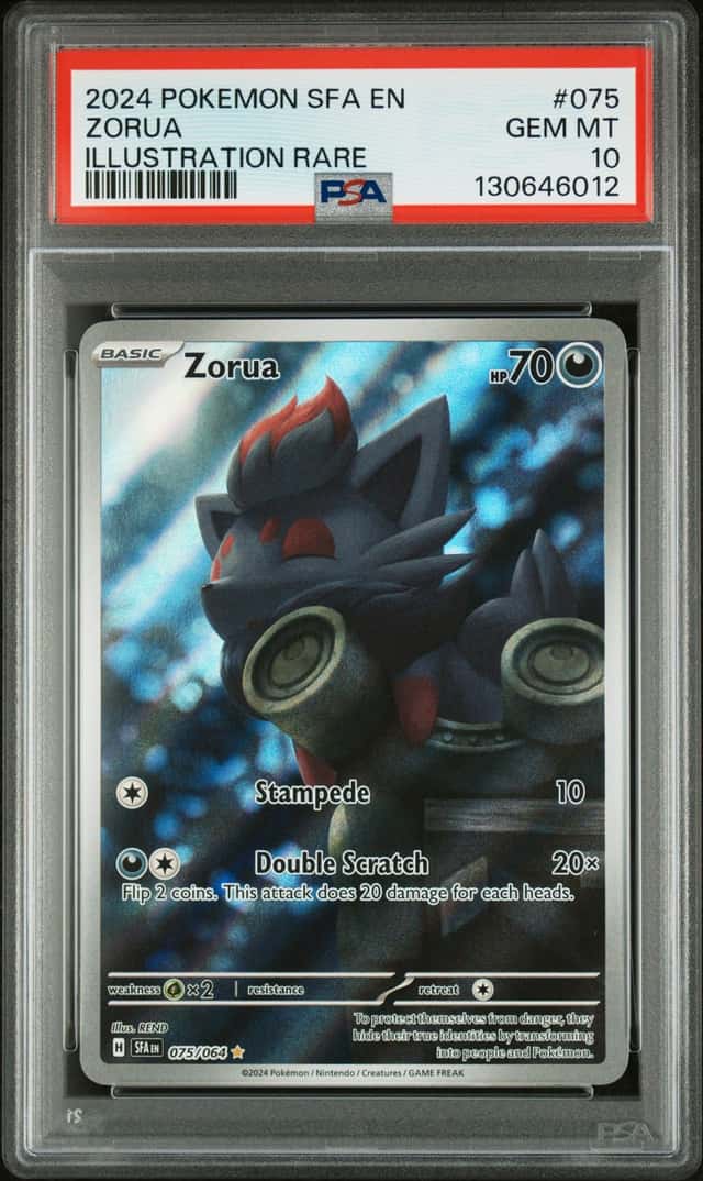Zorua