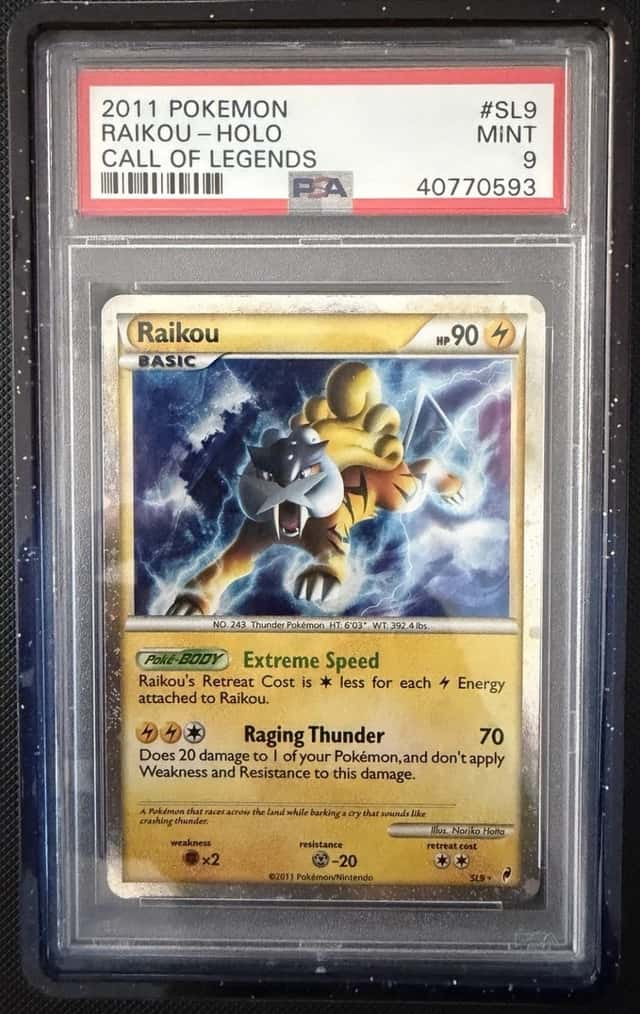 Raikou