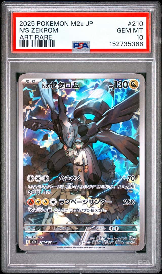 N's Zekrom