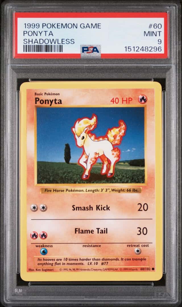 Ponyta