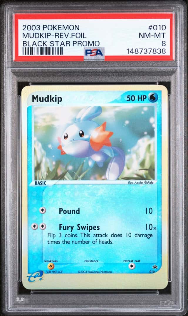 Mudkip