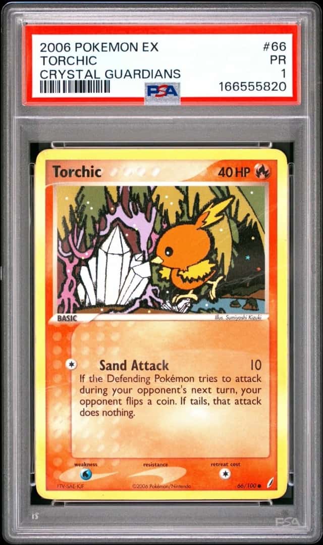 Torchic