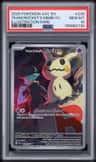 Team Rocket'S Mimikyu