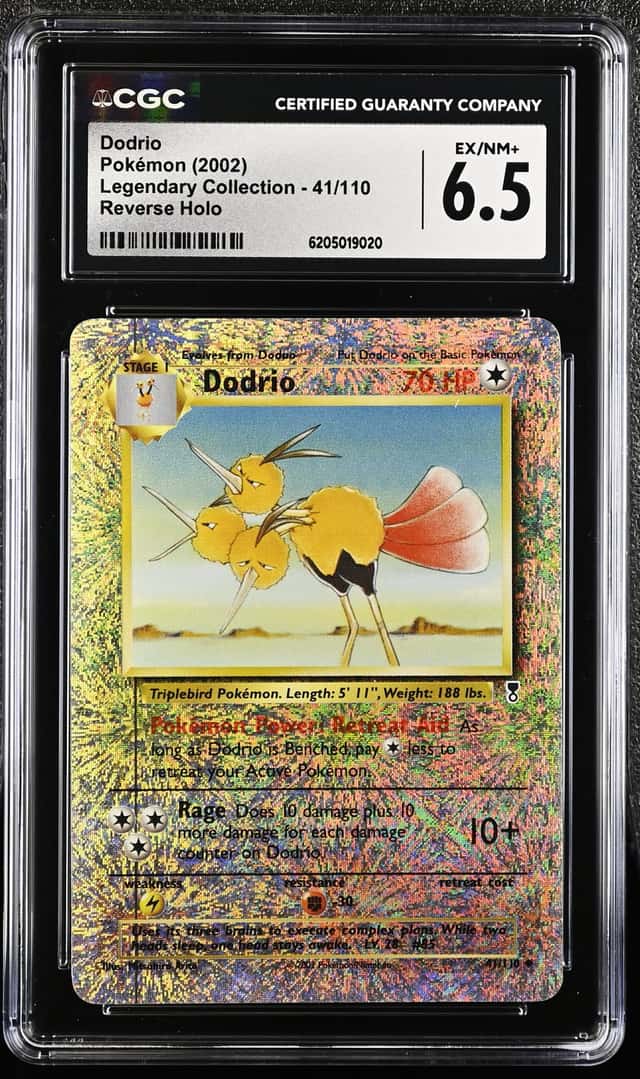 Dodrio