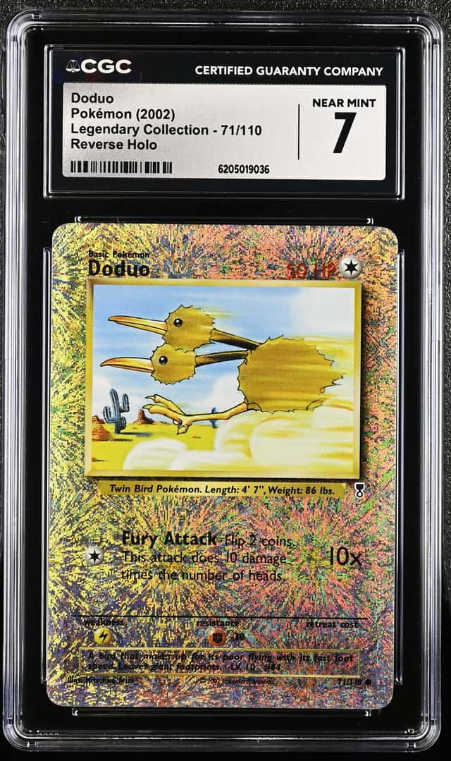 Doduo