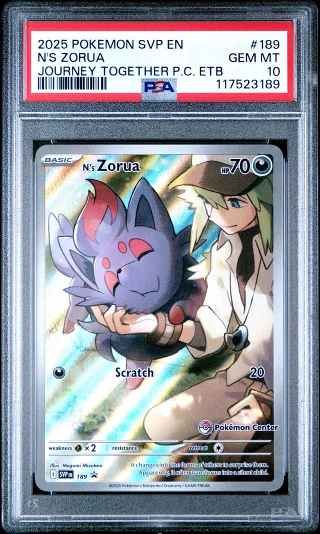 N's Zorua