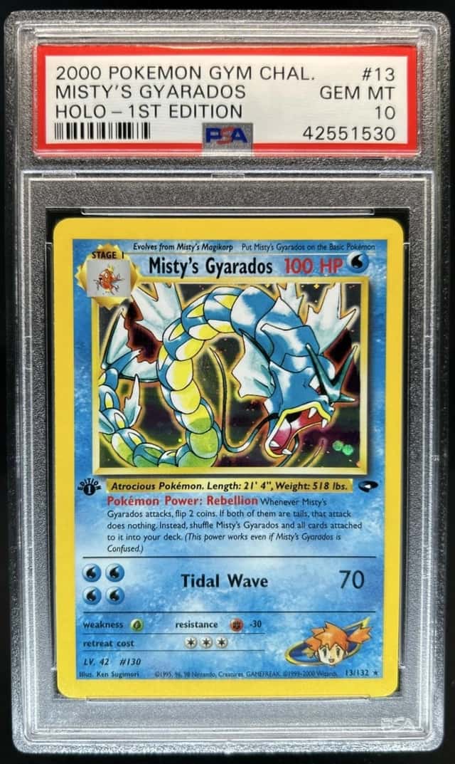 Misty's Gyarados