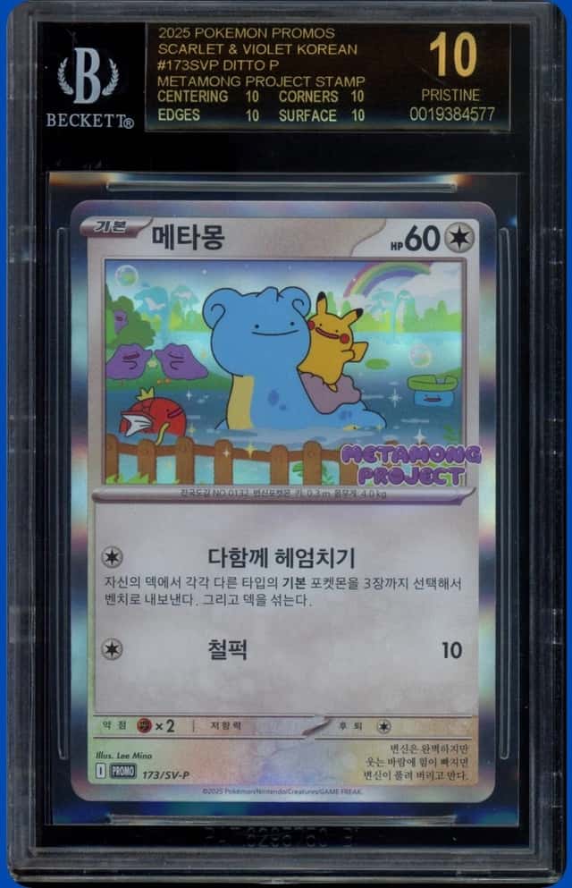 Ditto