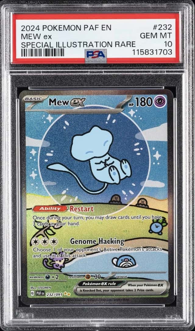 MEW ex
