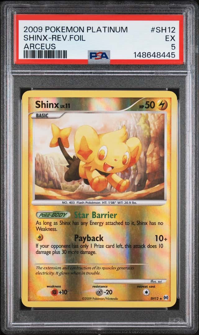 Shinx