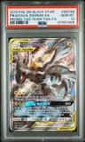 Pikachu & Zekrom Gx