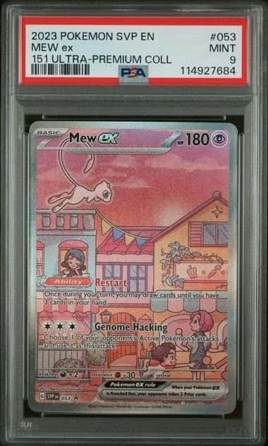 MEW ex