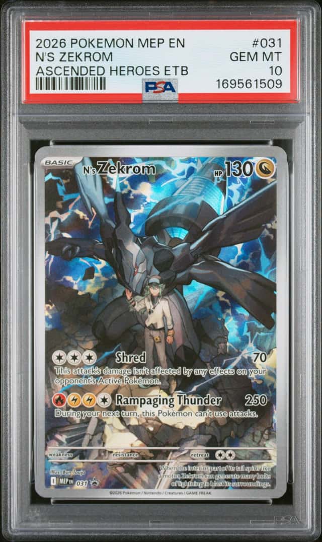 N's Zekrom