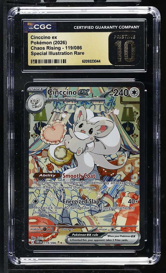 CINCCINO ex
