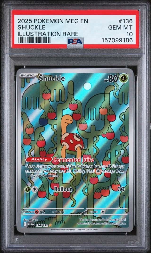 Shuckle