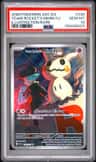 Team Rocket'S Mimikyu