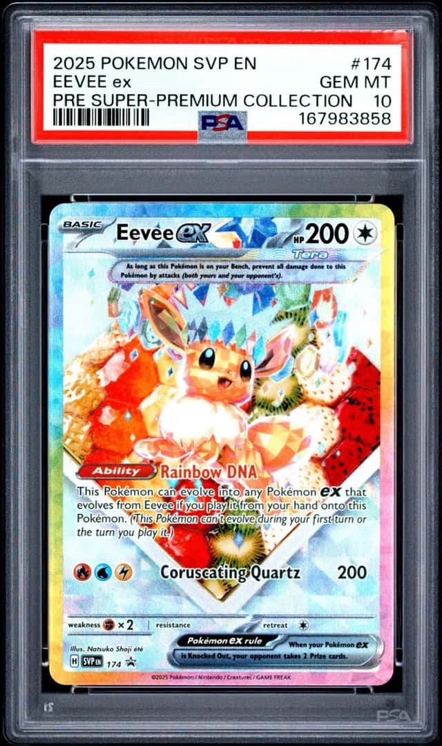 2025 POKEMON SVP EN-SV BLACK STAR PROMO #174 EEVEE EX PSA 10