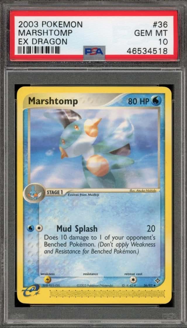 Marshtomp