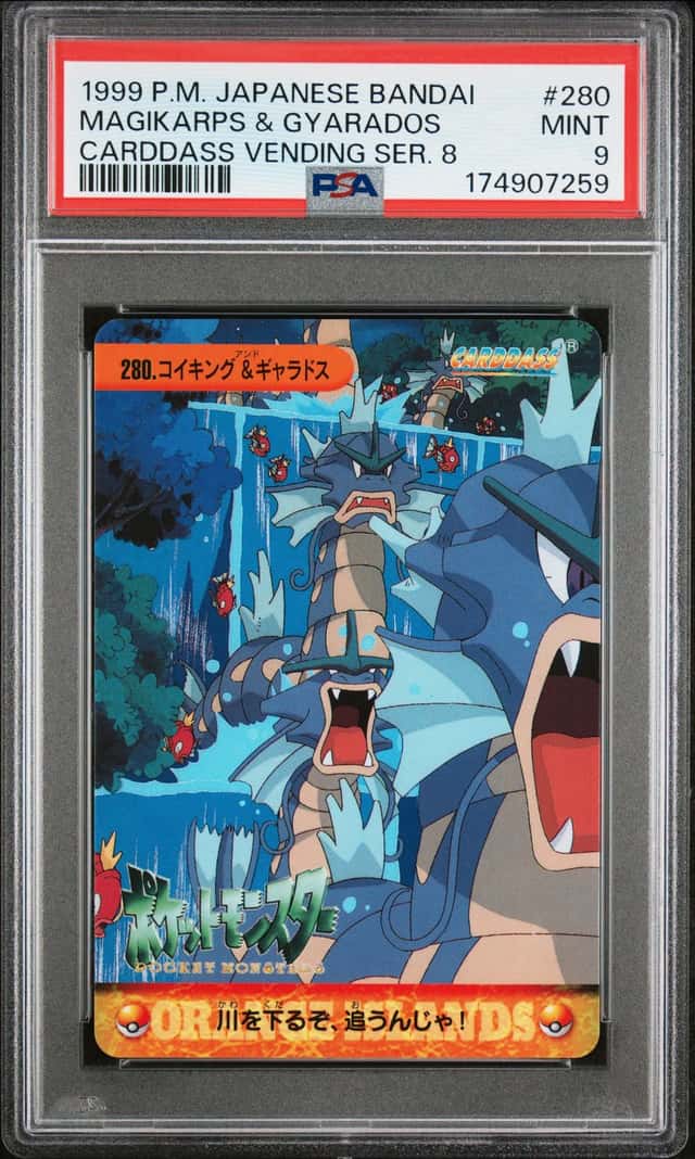 Magikarps & Gyarados