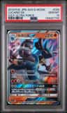 Lucario Gx