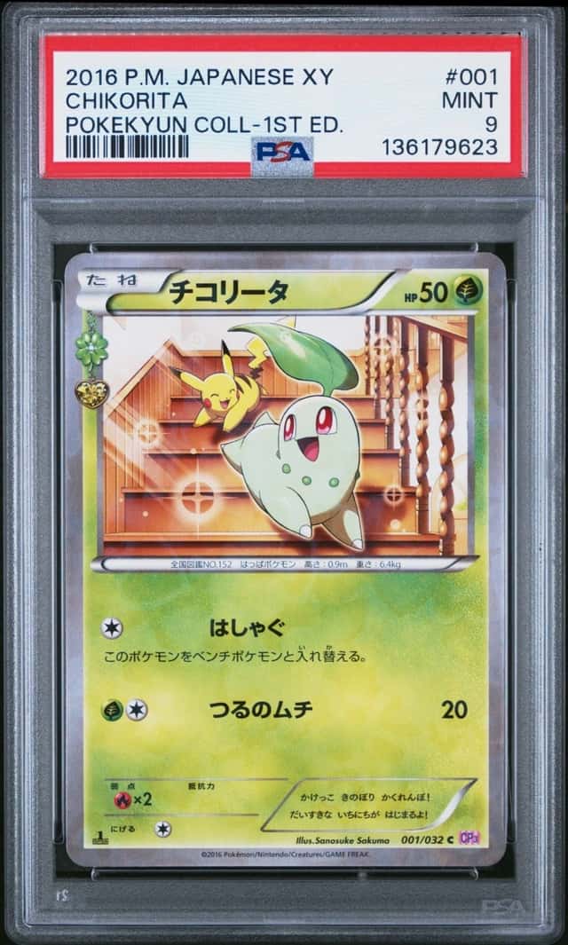 Chikorita