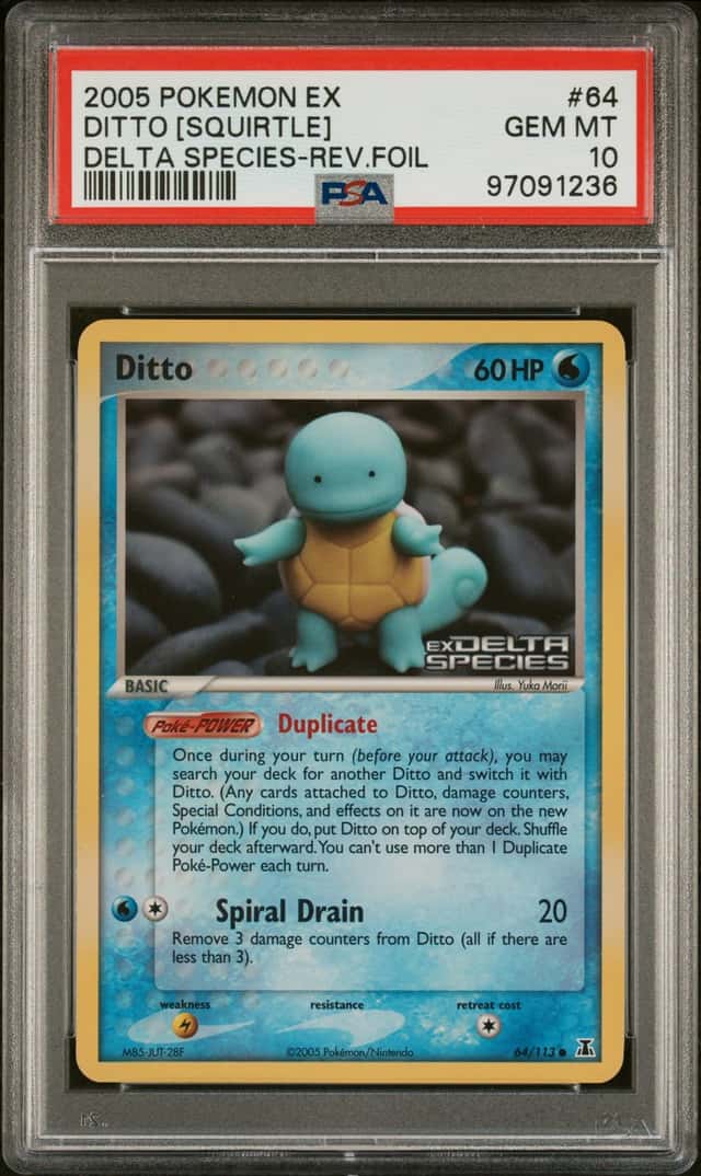 Ditto [Squirtle]