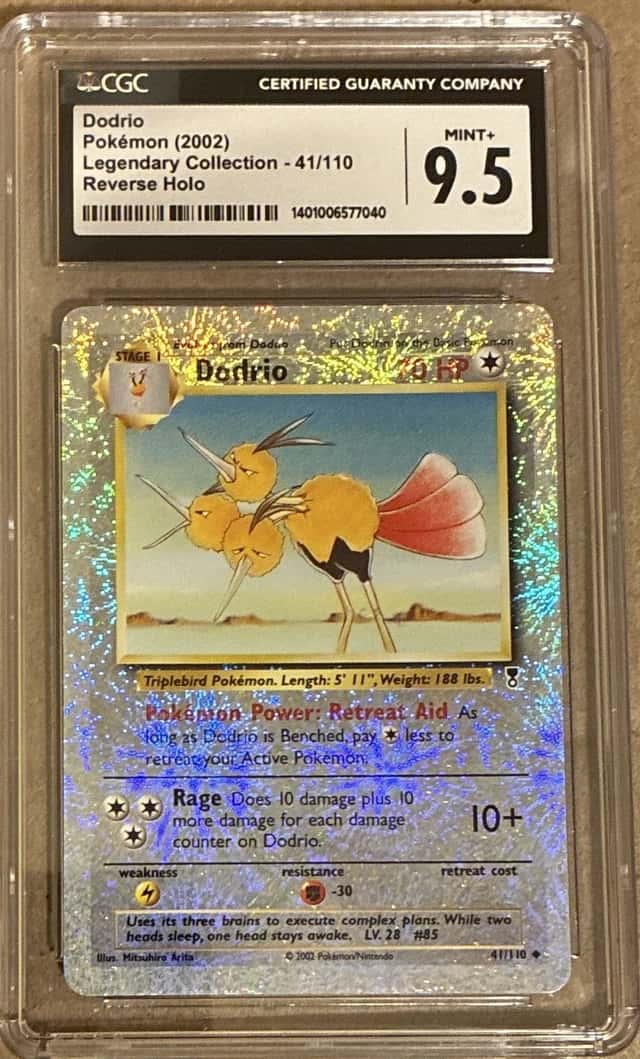 Dodrio