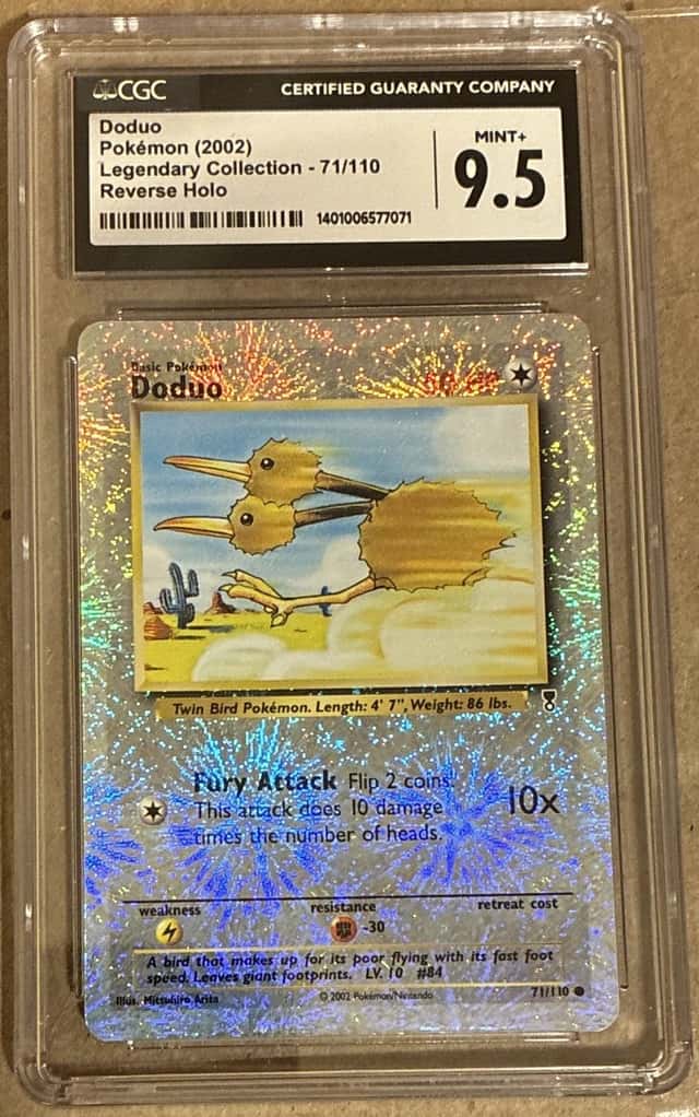 Doduo