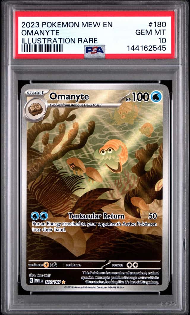 Omanyte