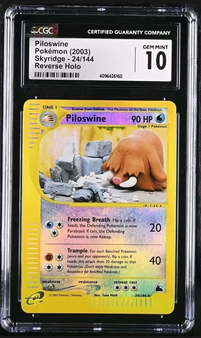 Piloswine
