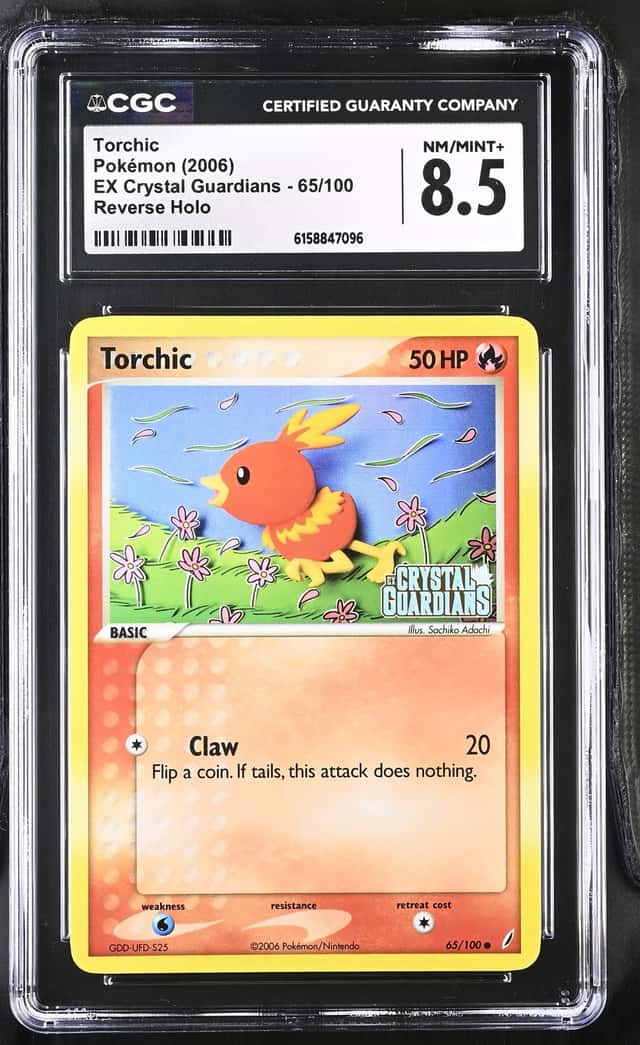 Torchic