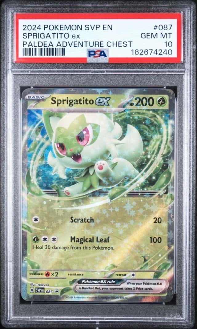 Sprigatito ex
