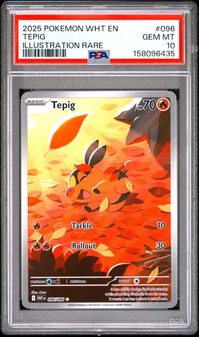 Tepig