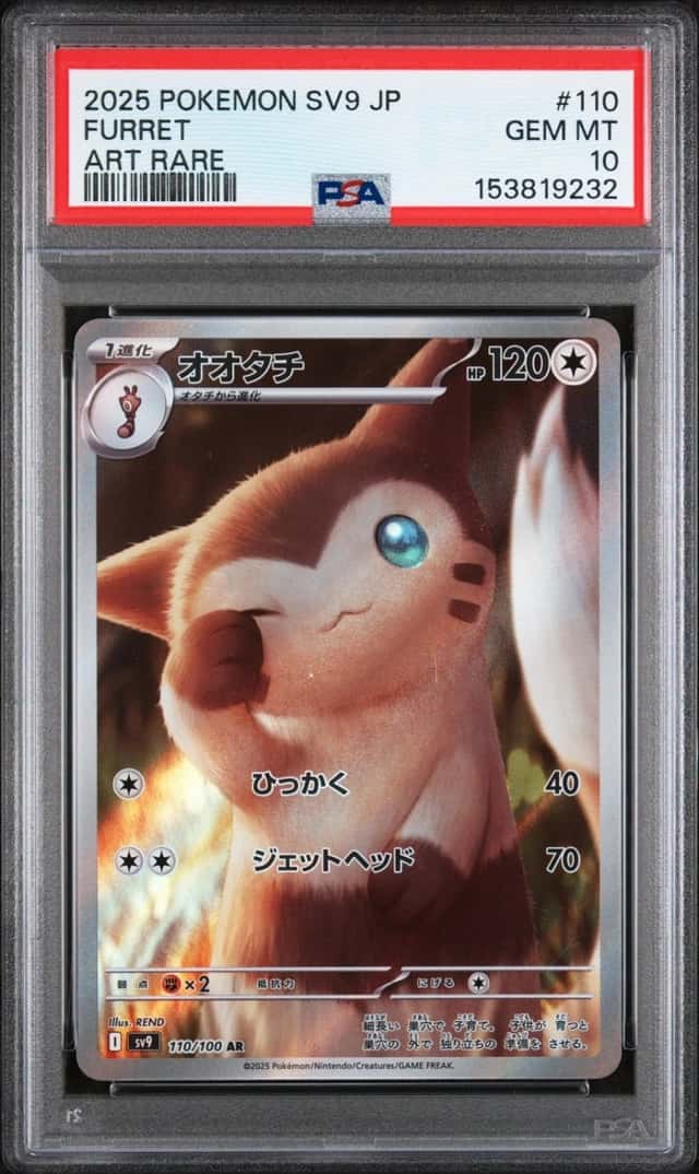 Furret