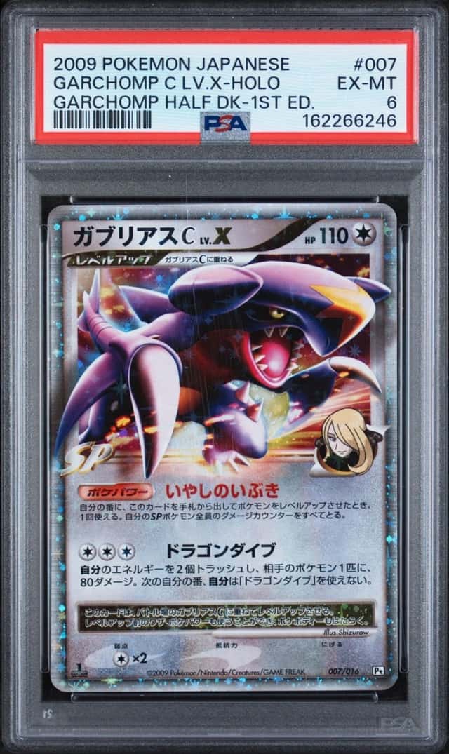 GARCHOMP C LV.X