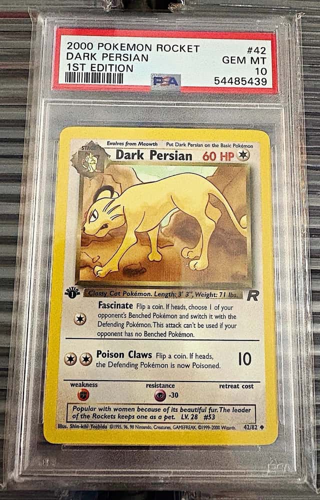 Dark Persian