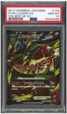 Fa/m Lucario Ex