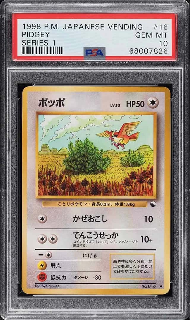 Pidgey