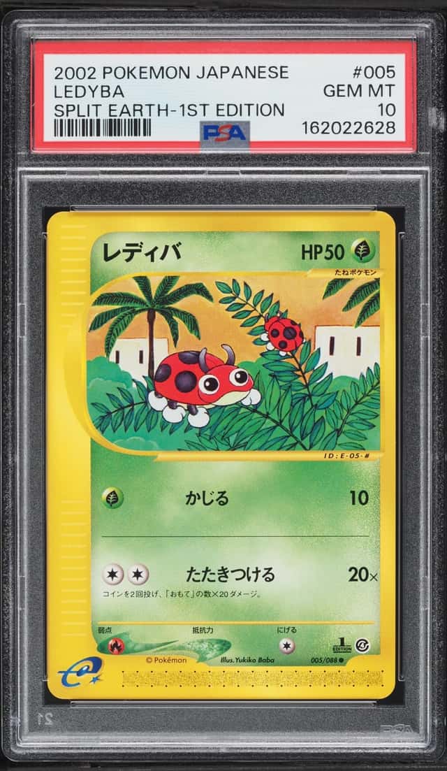Ledyba