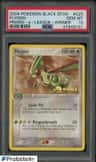 Flygon