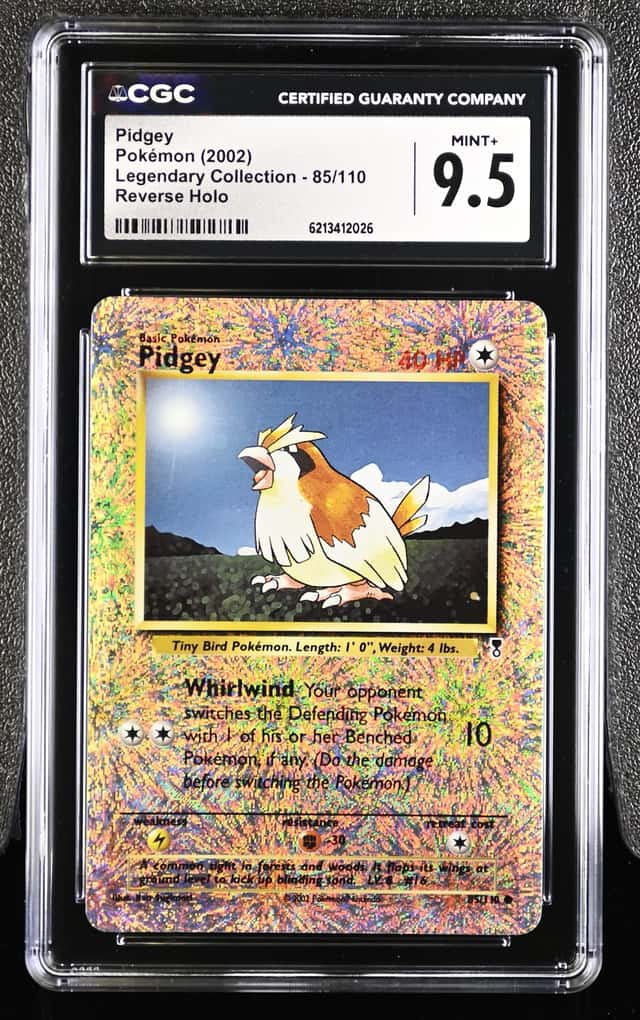 Pidgey